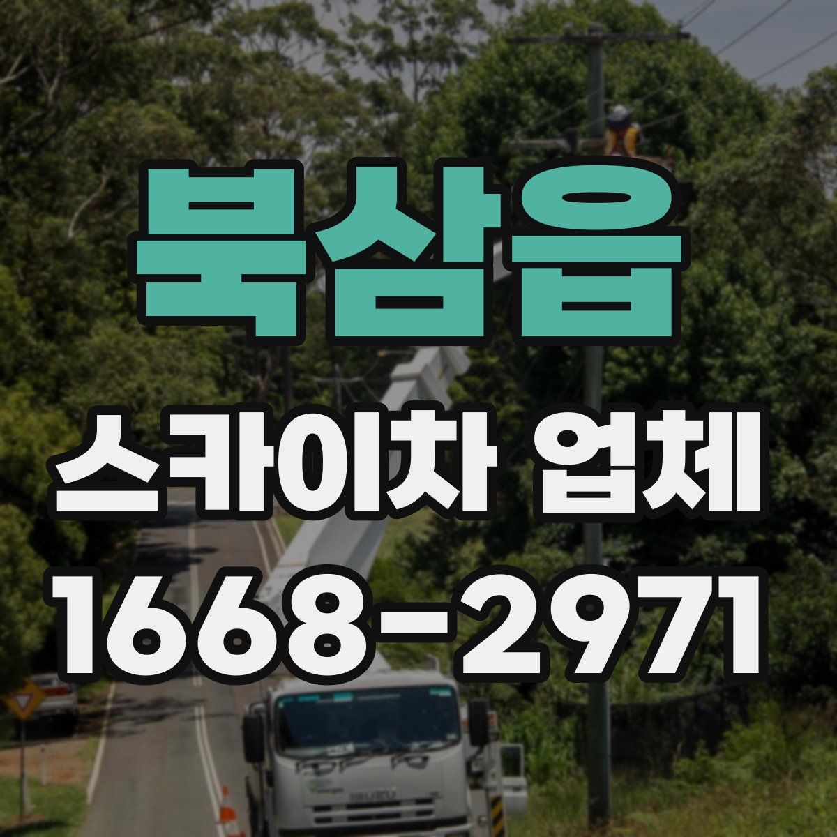 북삼읍 스카이차 업체