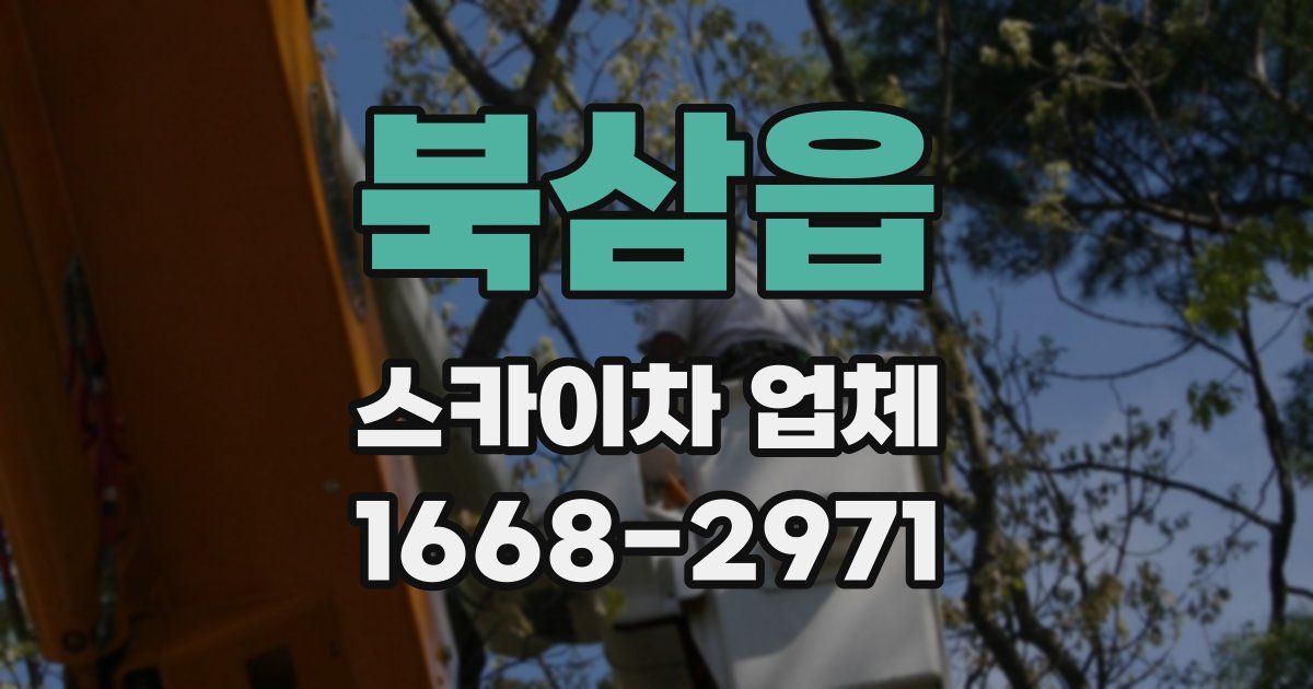 북삼읍 스카이차 업체