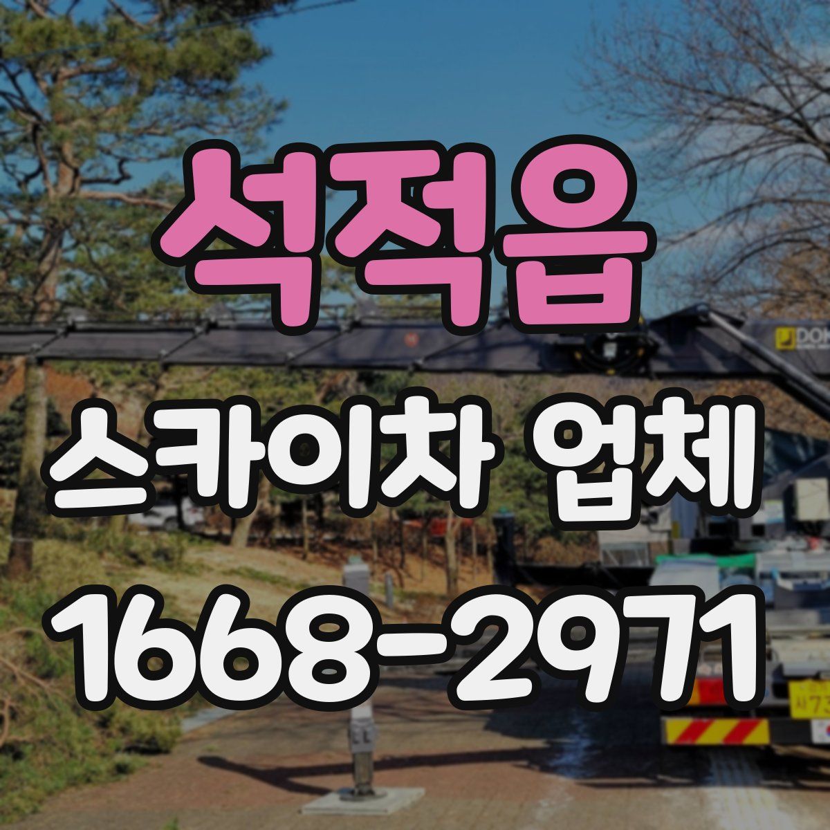 석적읍 스카이차 업체