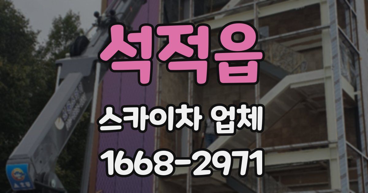 석적읍 스카이차 업체