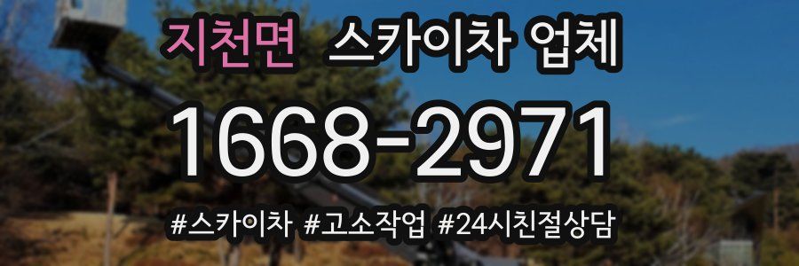 지천면 스카이차 업체