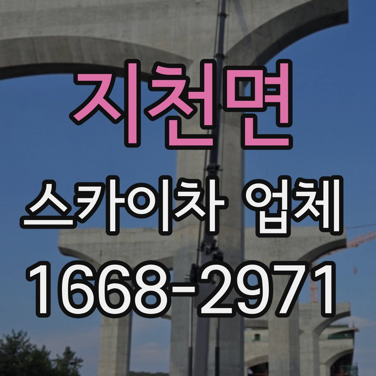 지천면 스카이차 업체