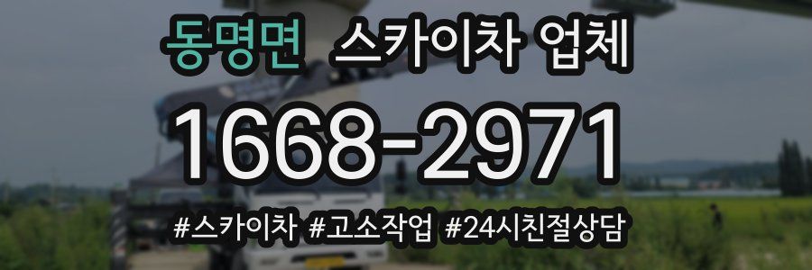 동명면 스카이차 업체