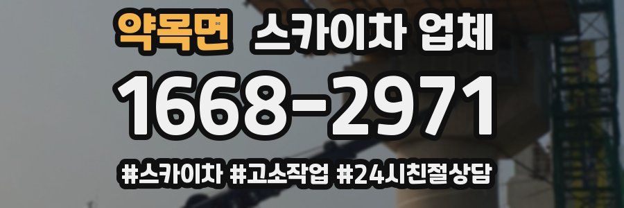 약목면 스카이차 업체