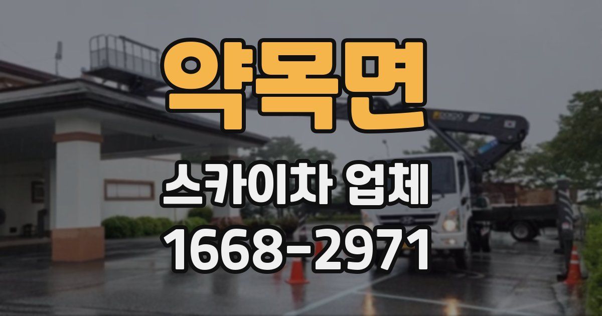 약목면 스카이차 업체