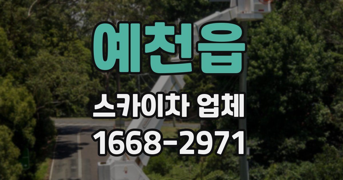 예천읍 스카이차 업체