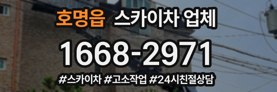 호명읍 스카이차 업체