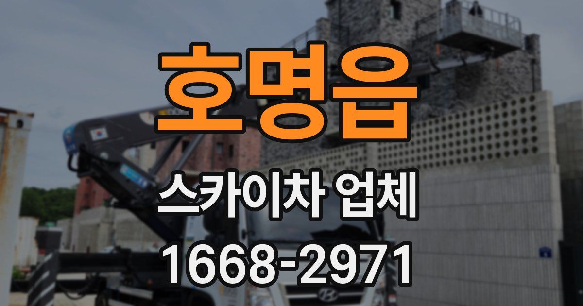 호명읍 스카이차 업체