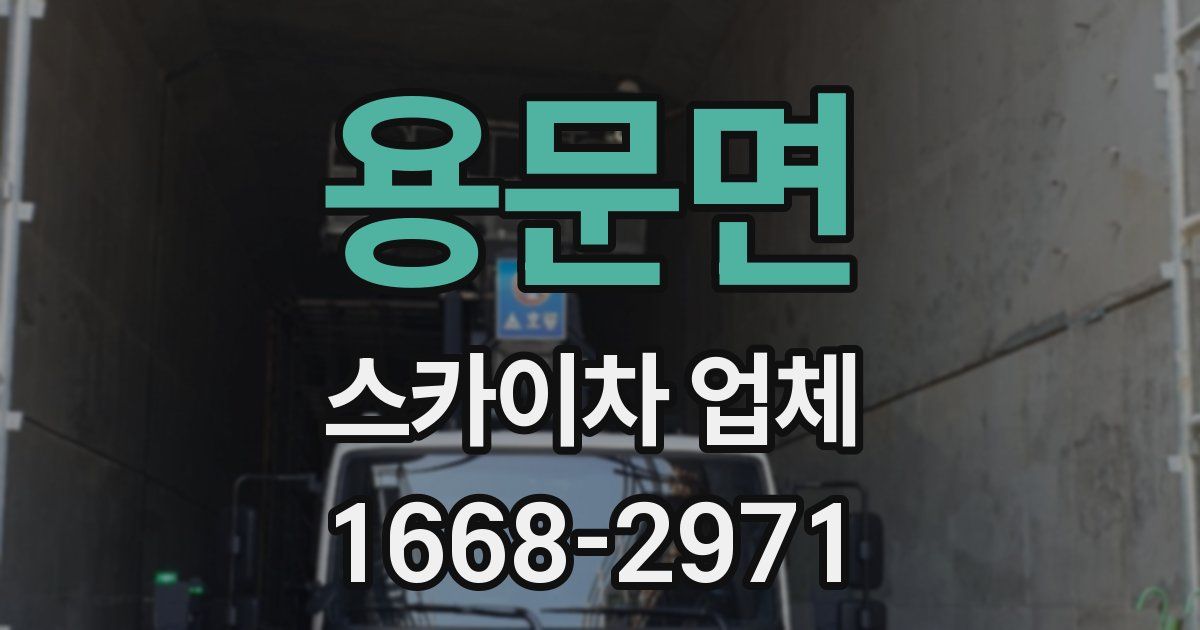 용문면 스카이차 업체