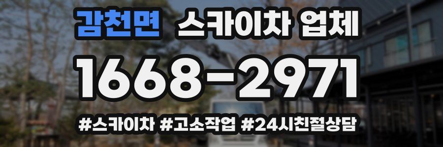 감천면 스카이차 업체