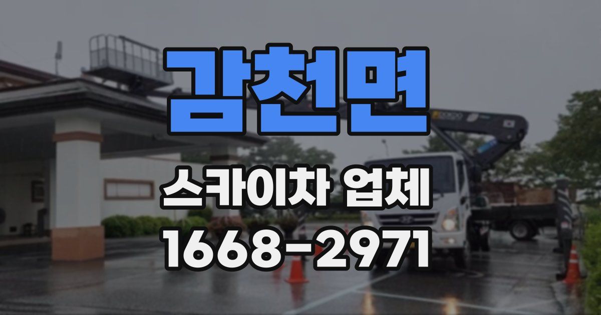 감천면 스카이차 업체