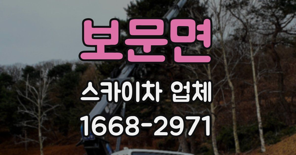보문면 스카이차 업체