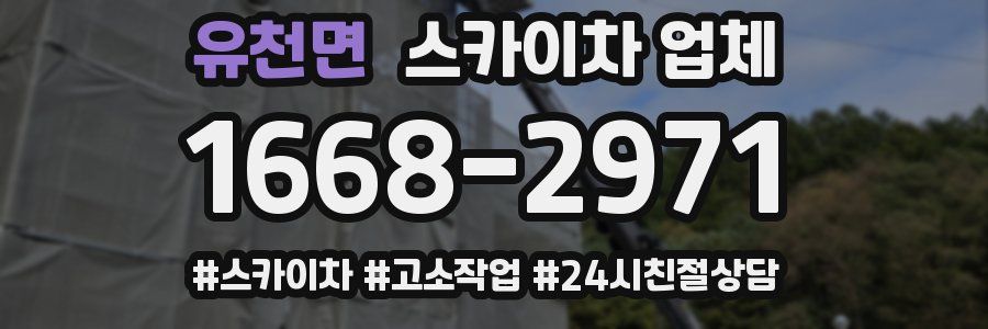 유천면 스카이차 업체