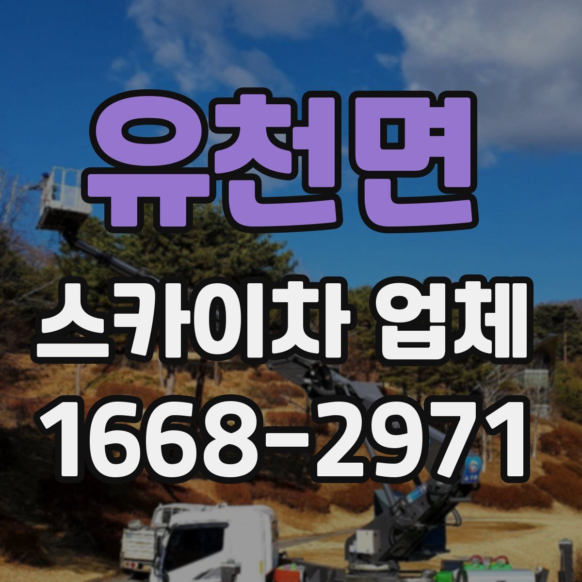 유천면 스카이차 업체