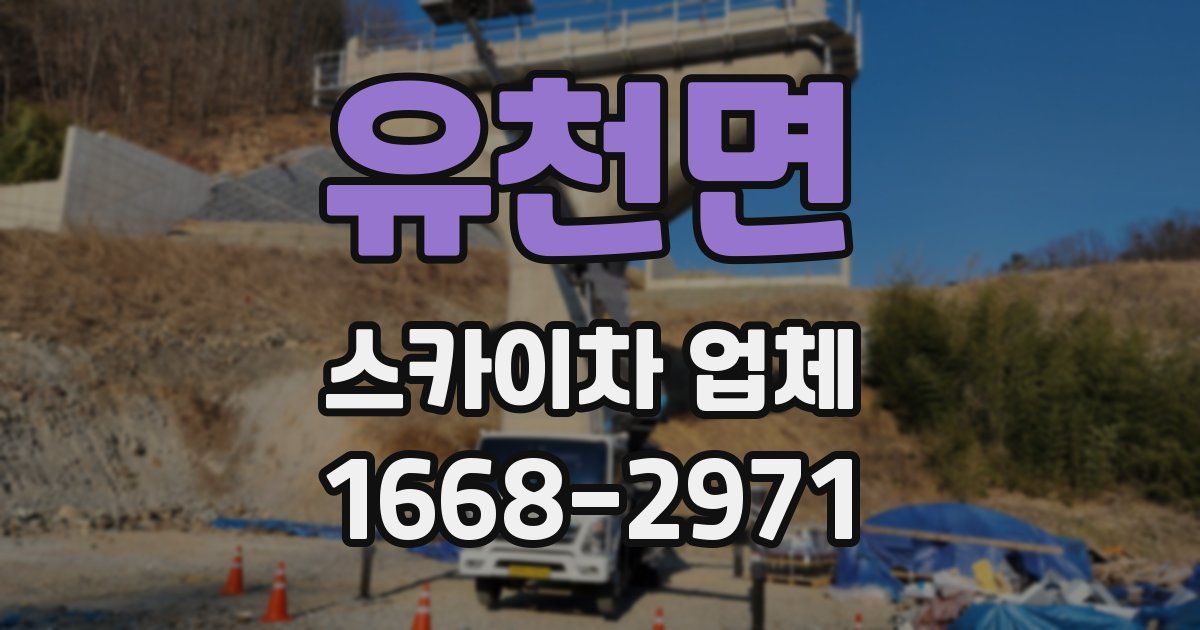 유천면 스카이차 업체