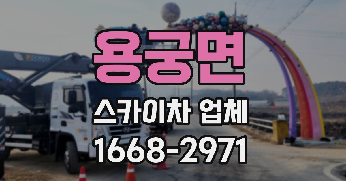 용궁면 스카이차 업체
