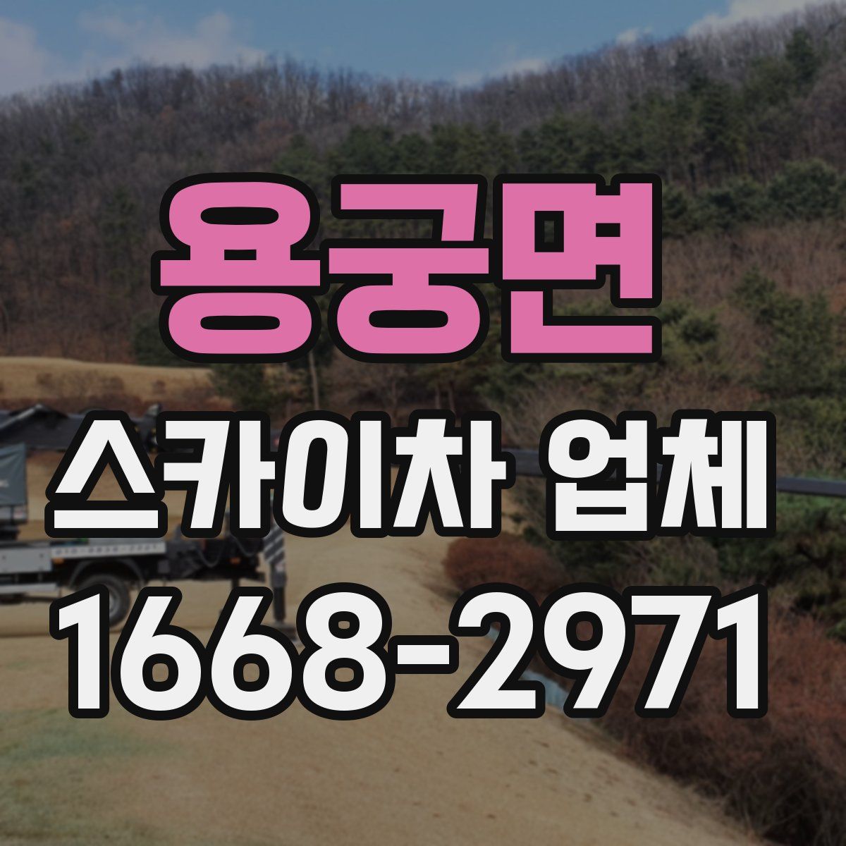 용궁면 스카이차 업체