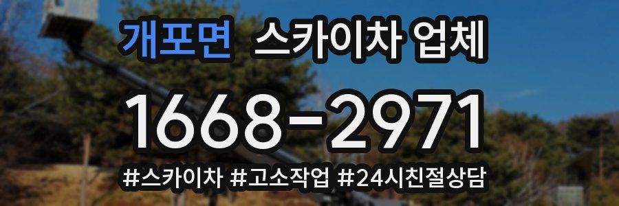개포면 스카이차 업체