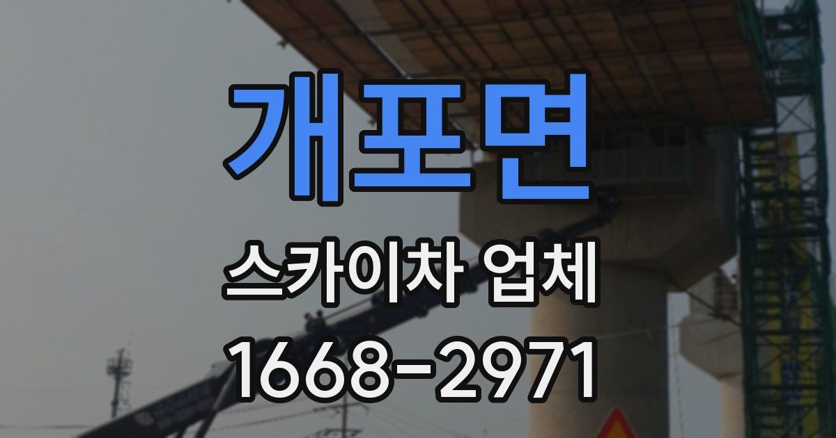 개포면 스카이차 업체