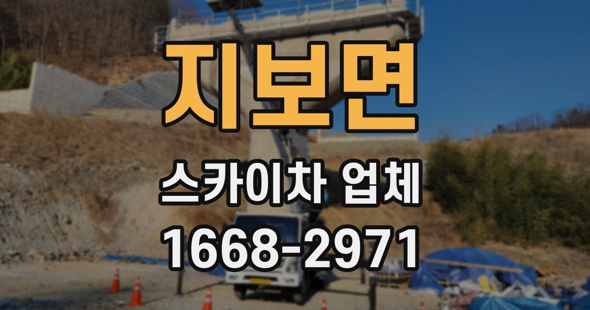 지보면 스카이차 업체