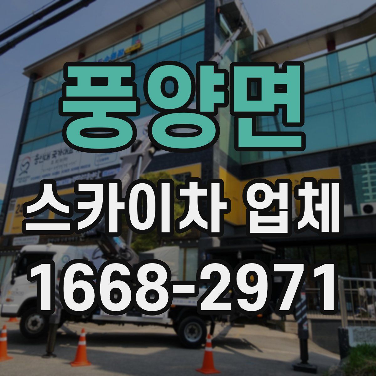 풍양면 스카이차 업체