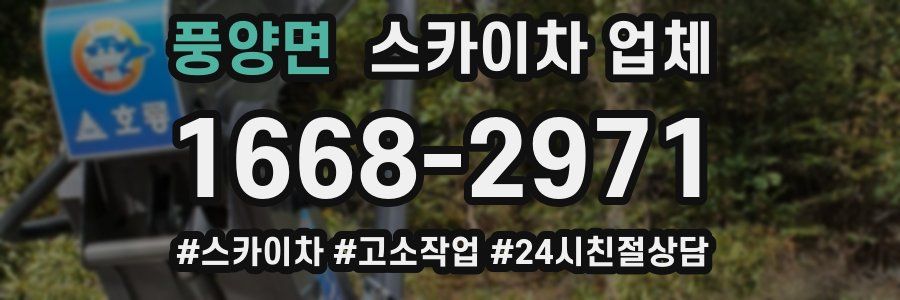 풍양면 스카이차 업체
