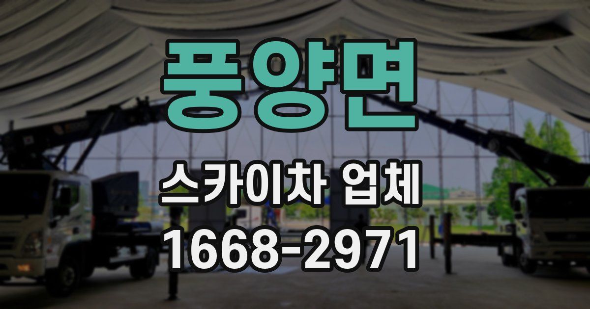 풍양면 스카이차 업체