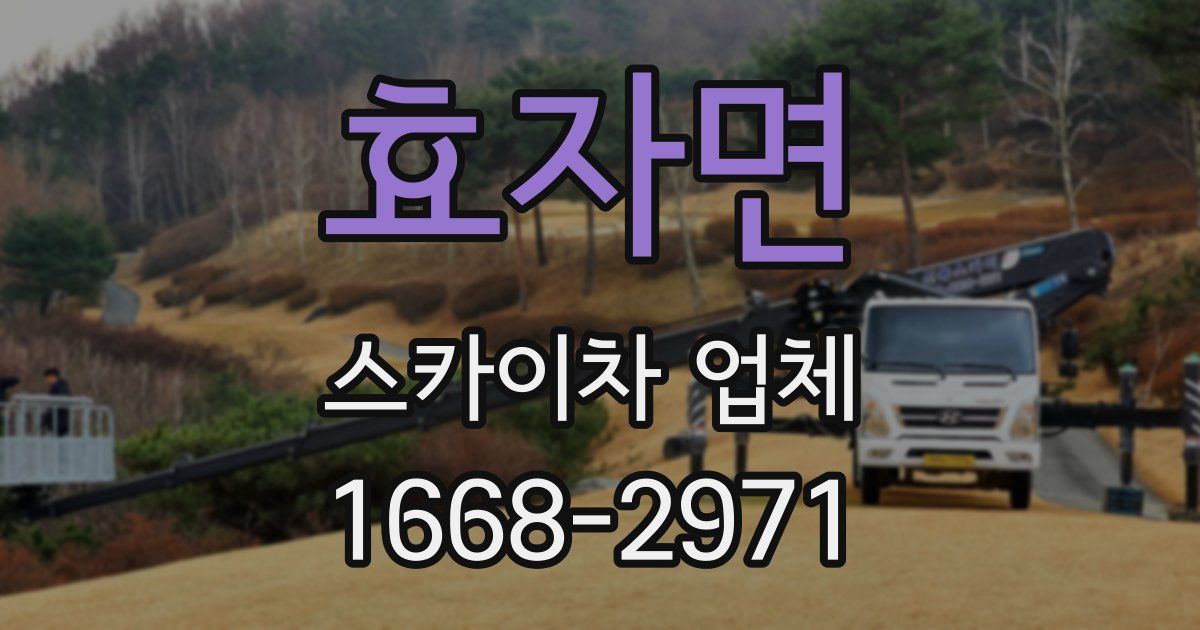 효자면 스카이차 업체