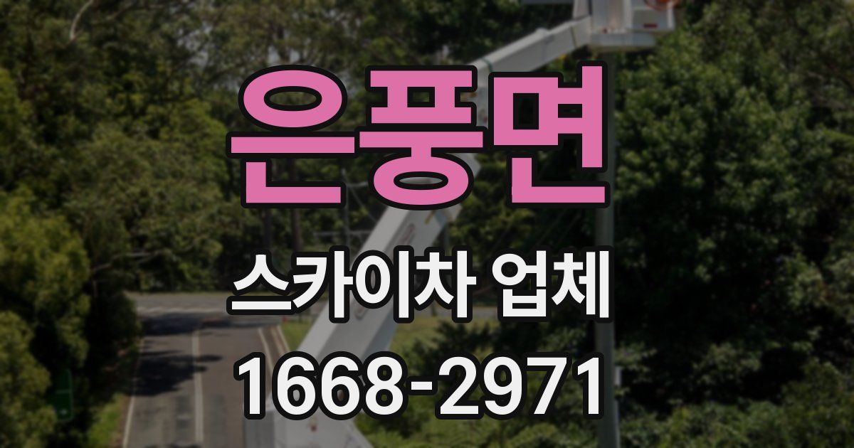 은풍면 스카이차 업체