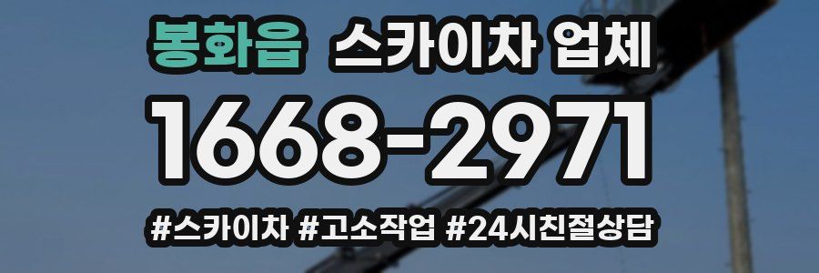 봉화읍 스카이차 업체