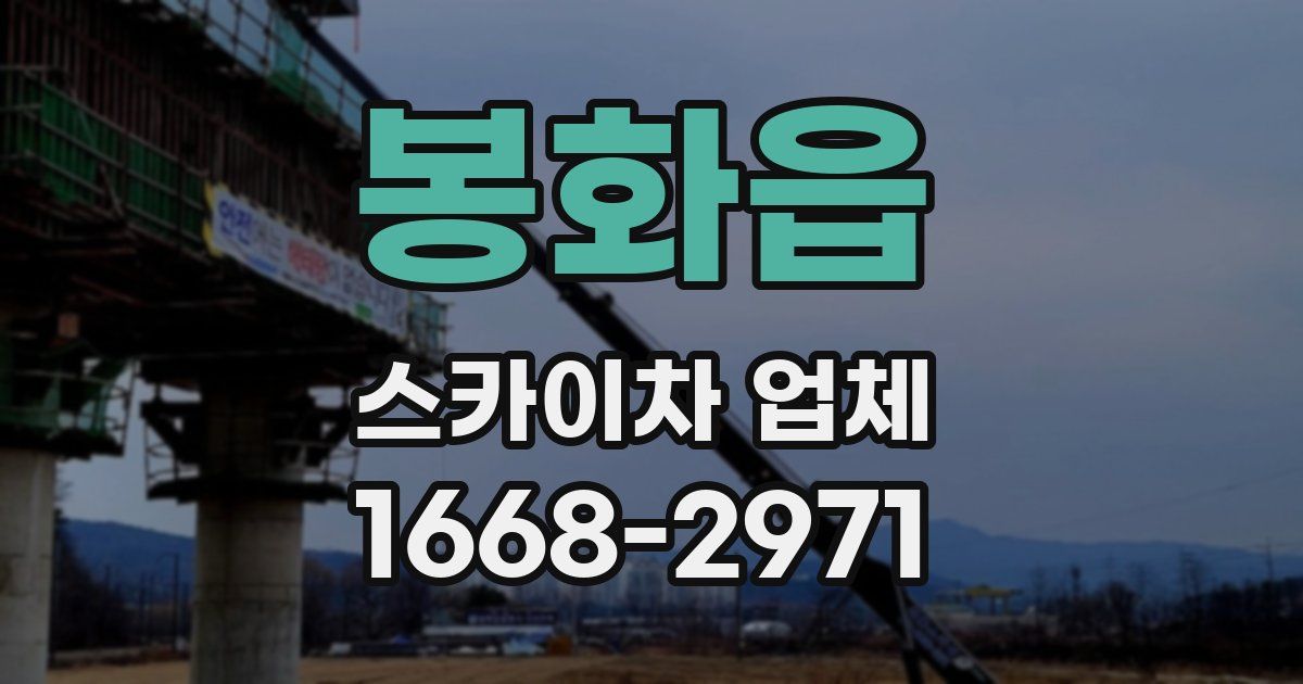 봉화읍 스카이차 업체