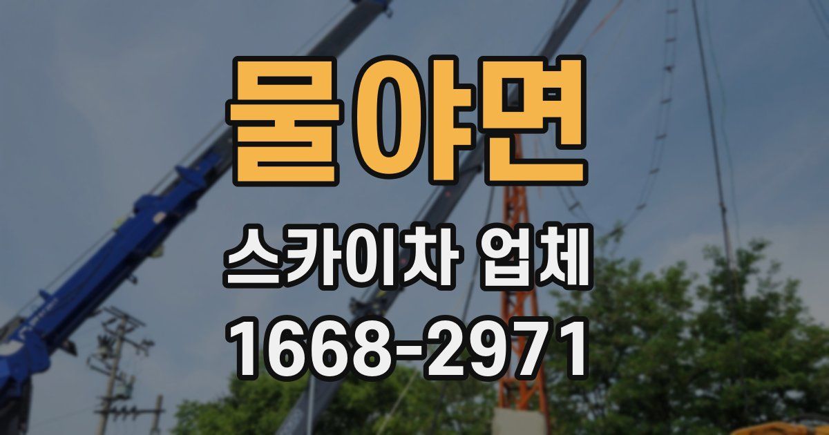 물야면 스카이차 업체