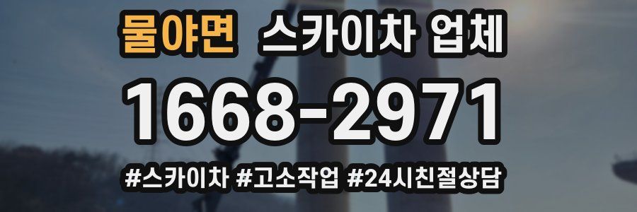 물야면 스카이차 업체