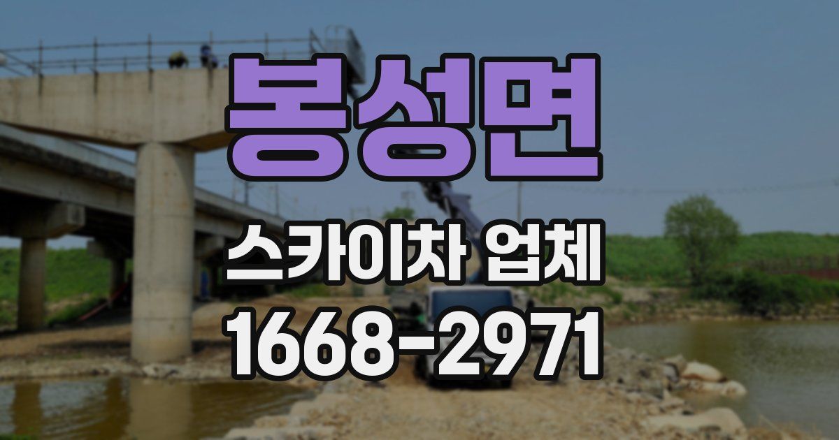 봉성면 스카이차 업체
