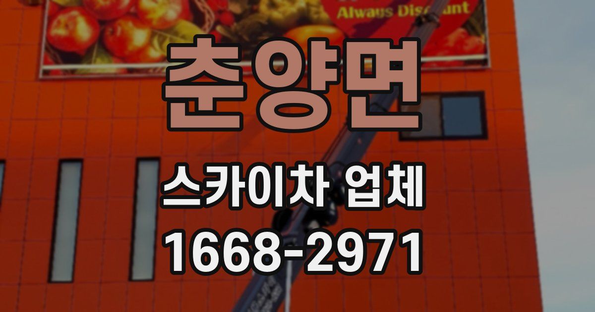 춘양면 스카이차 업체