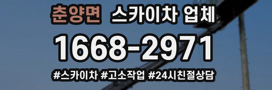 춘양면 스카이차 업체