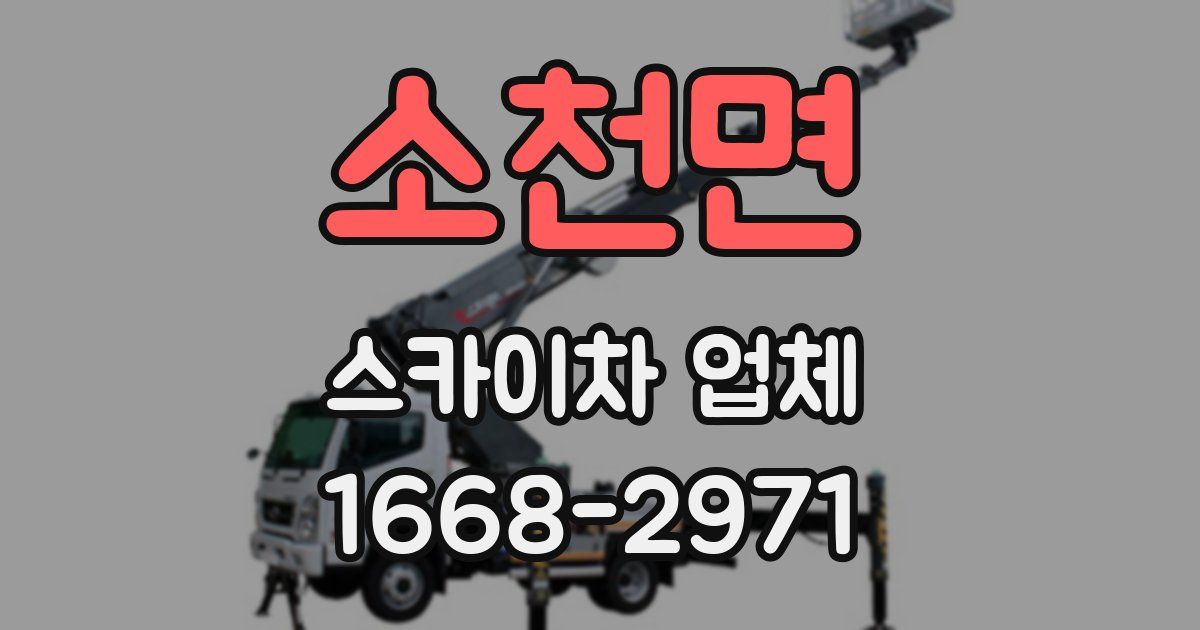 소천면 스카이차 업체