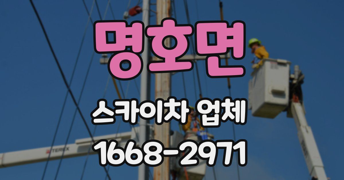 명호면 스카이차 업체