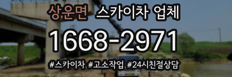 상운면 스카이차 업체
