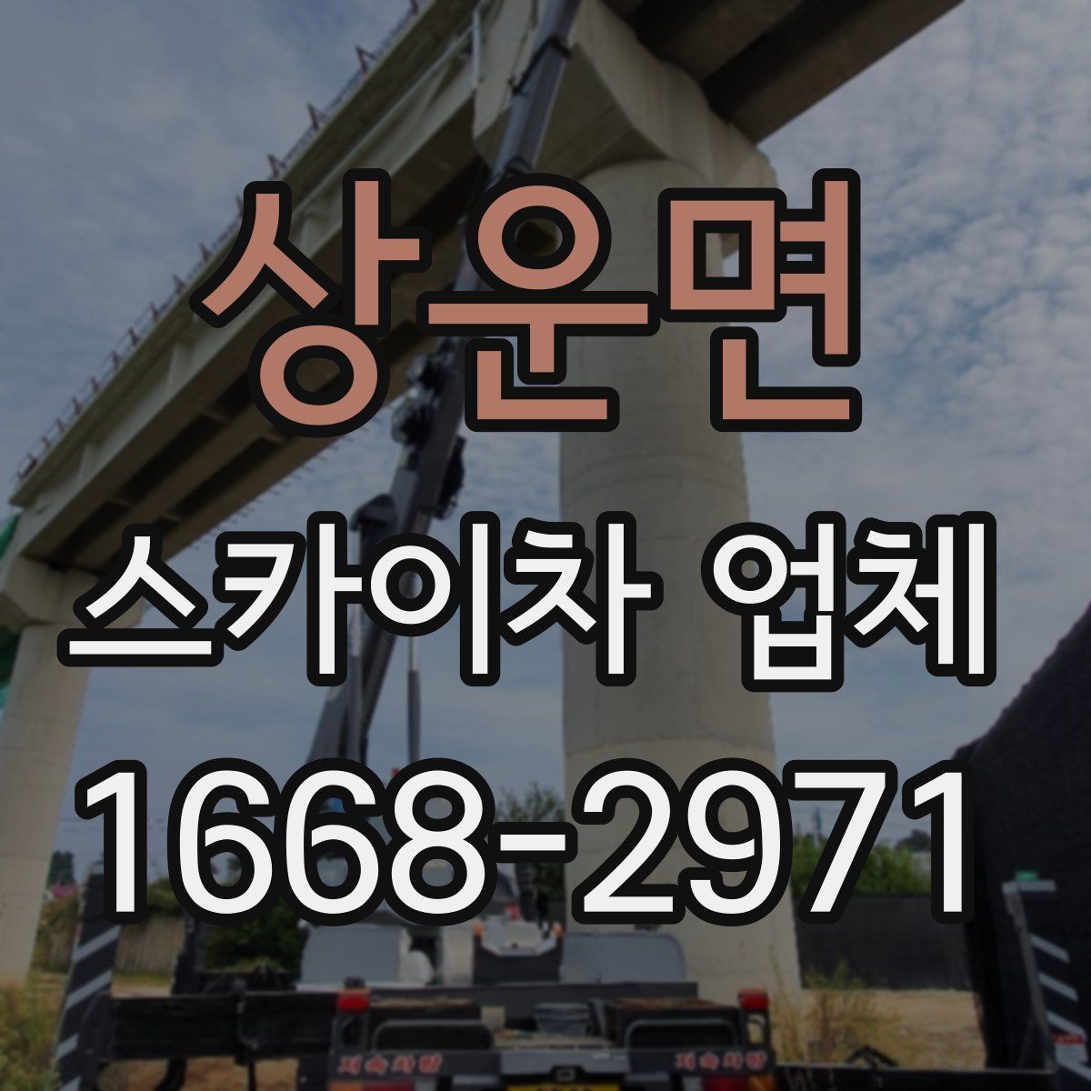 상운면 스카이차 업체
