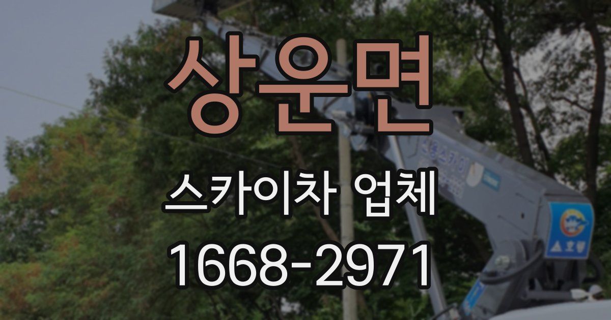 상운면 스카이차 업체