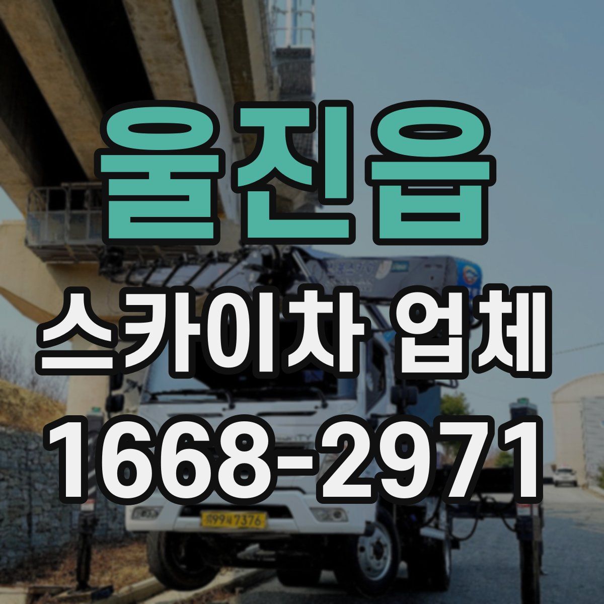 울진읍 스카이차 업체