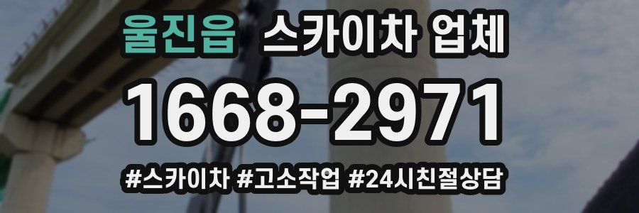 울진읍 스카이차 업체