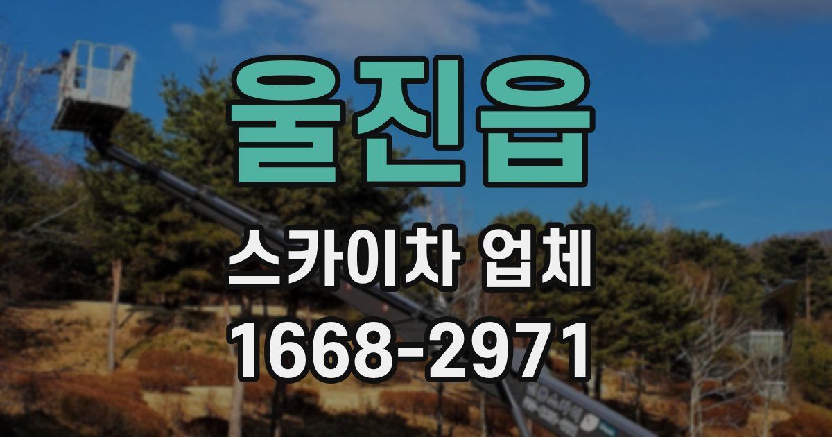 울진읍 스카이차 업체