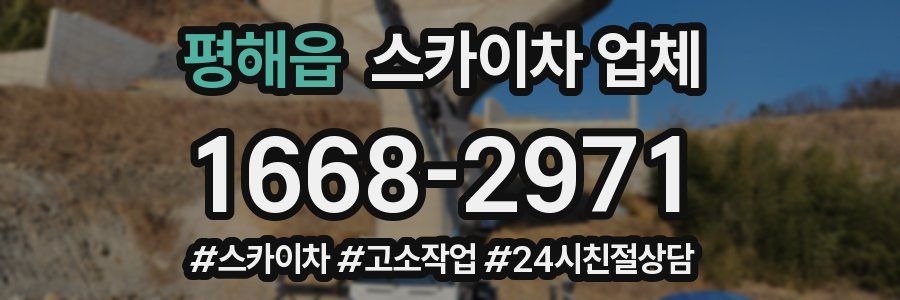평해읍 스카이차 업체
