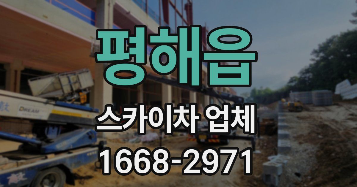 평해읍 스카이차 업체