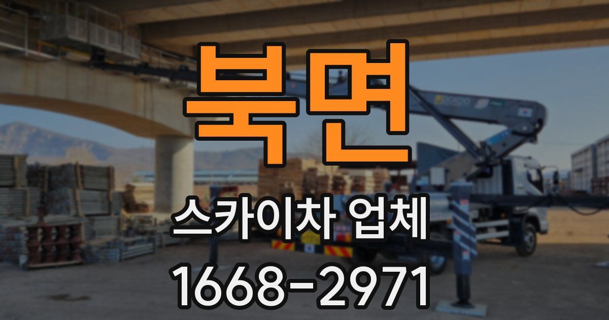 북면 스카이차 업체