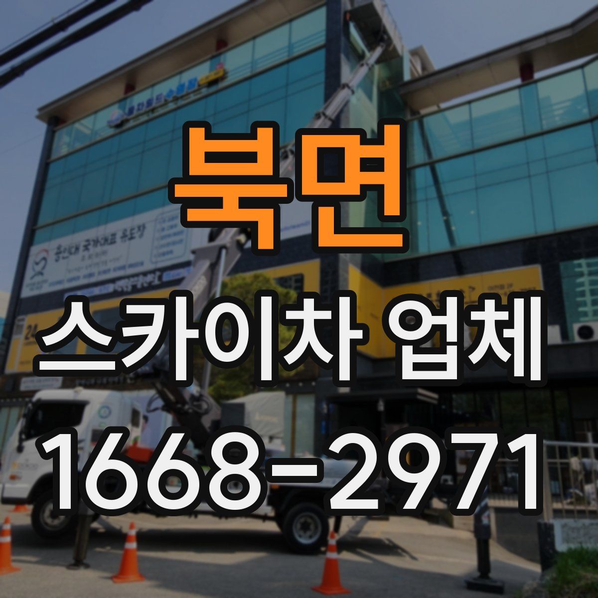 북면 스카이차 업체