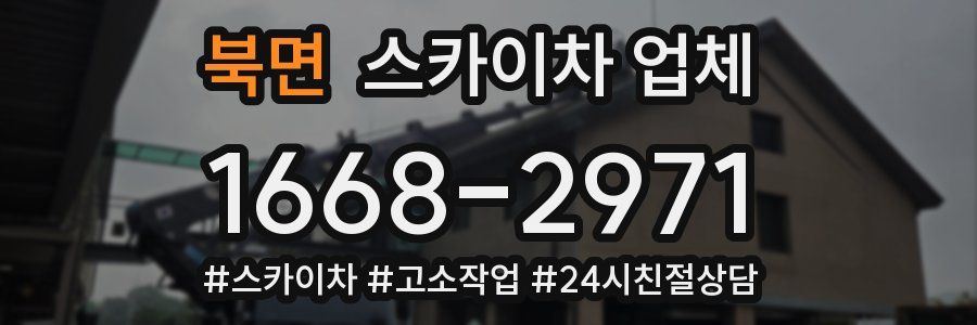 북면 스카이차 업체
