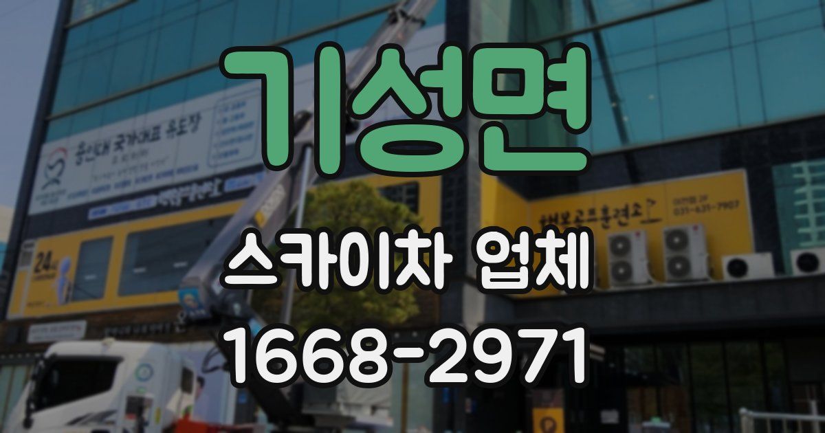 기성면 스카이차 업체